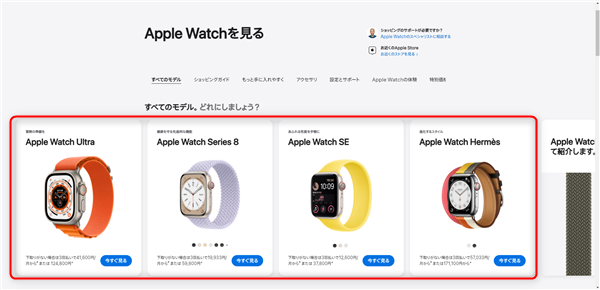 Apple Storeサイトにてapplewatchをapplegiftcardで購入する方法02